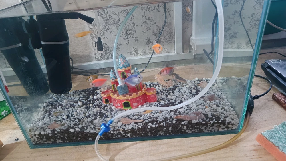 GIF загрузил EvaRain