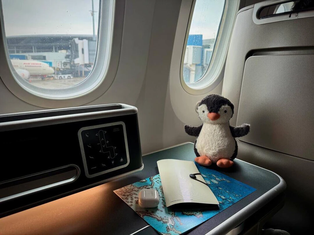 由林格上传的图片