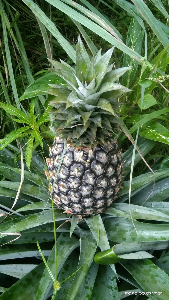 GIF diunggah oleh Nita