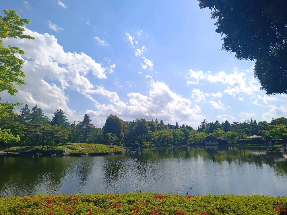 由Carlos カルロス上传的图片