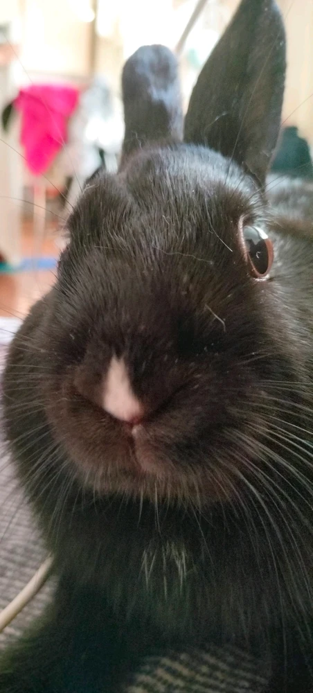 GIF загрузил EvaRain