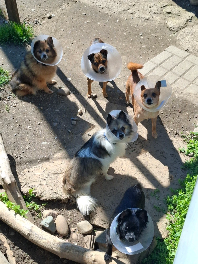 Obrázek nahrál Nora