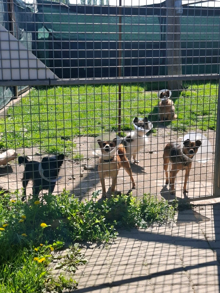 Obrázek nahrál Nora