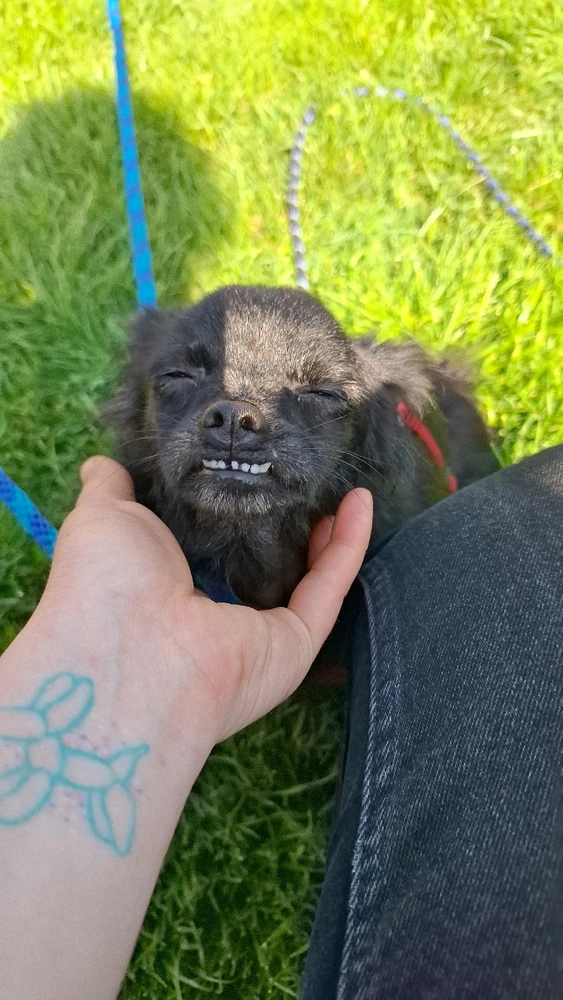 Obrázek nahrál Nora