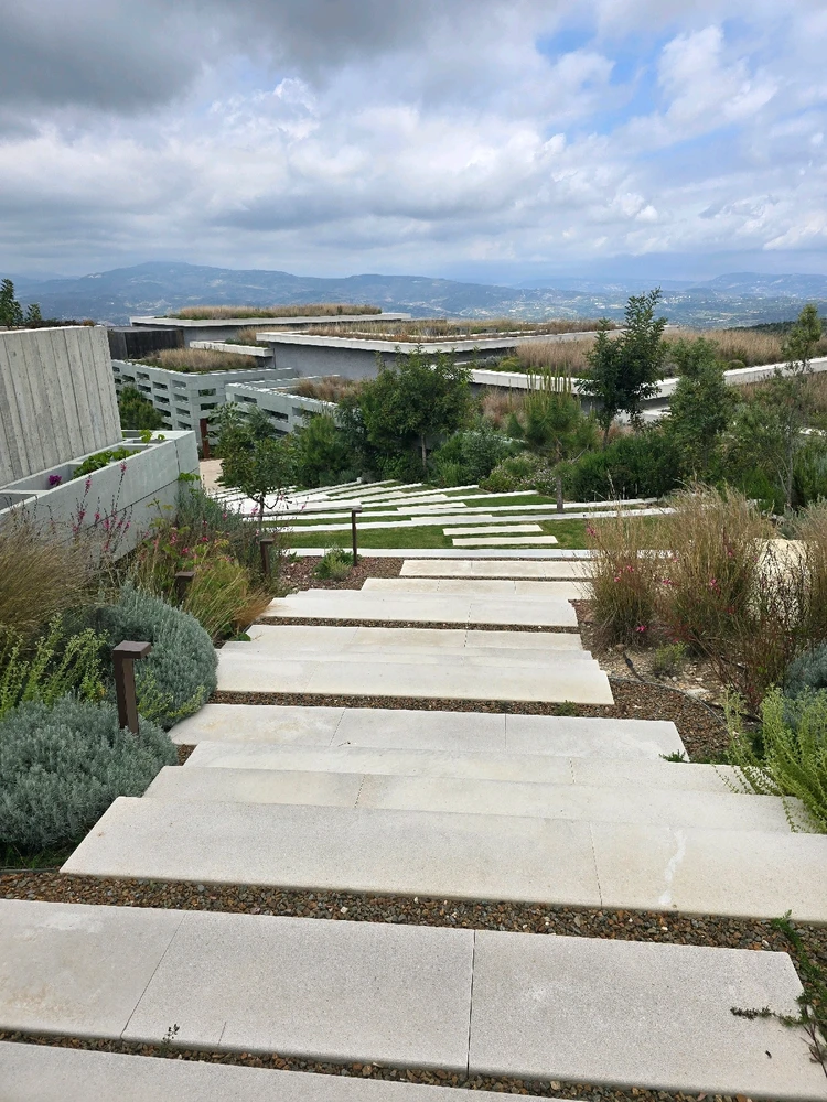 Image uploaded by Ren