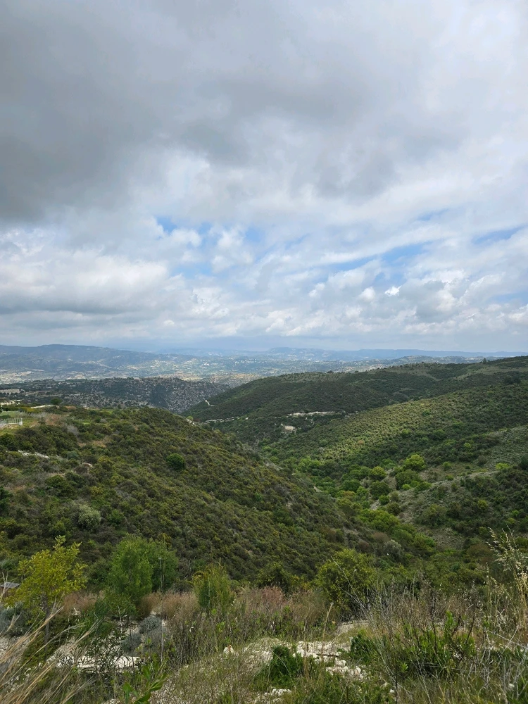 Image uploaded by Ren