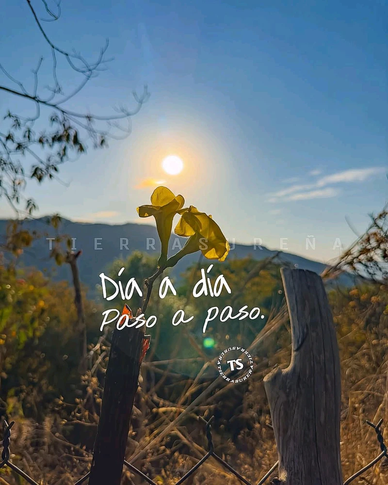 GIF subido por STEFANI