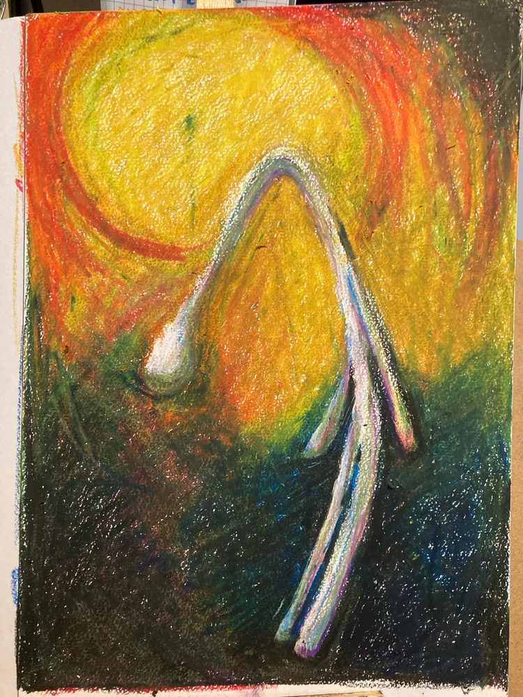 Wally=Sakamotoがアップロードした画像