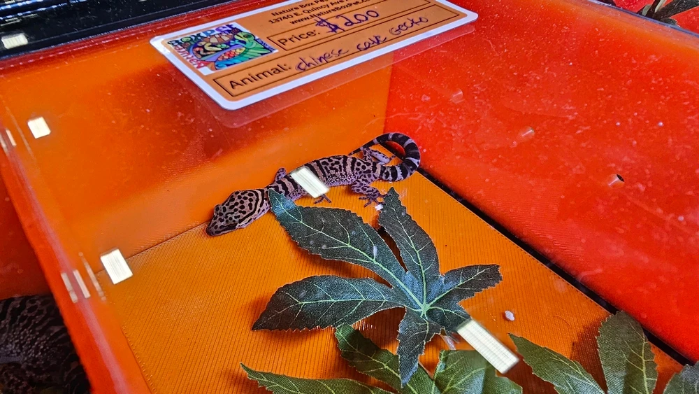 Image uploaded by Damaris