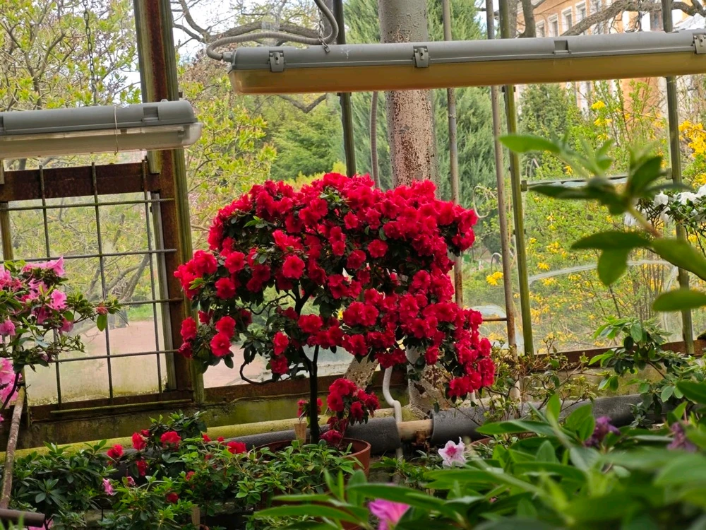 Фото загрузил Alexey