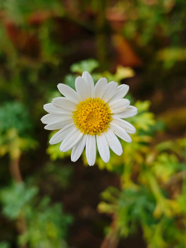 Фото загрузил Alexey