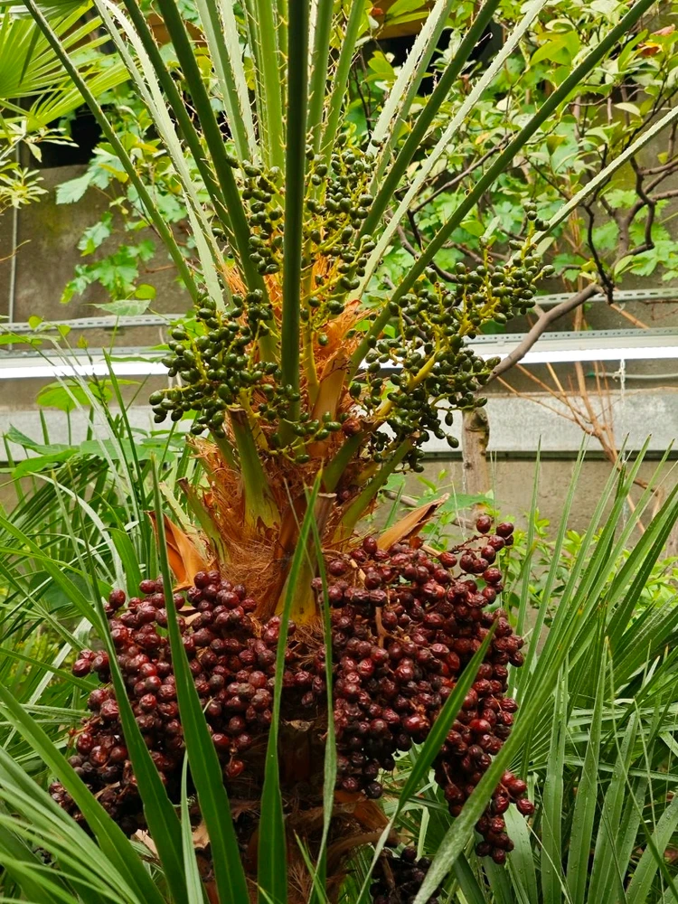 Фото загрузил Alexey