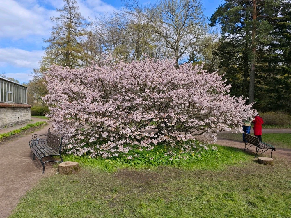 Фото загрузил Alexey