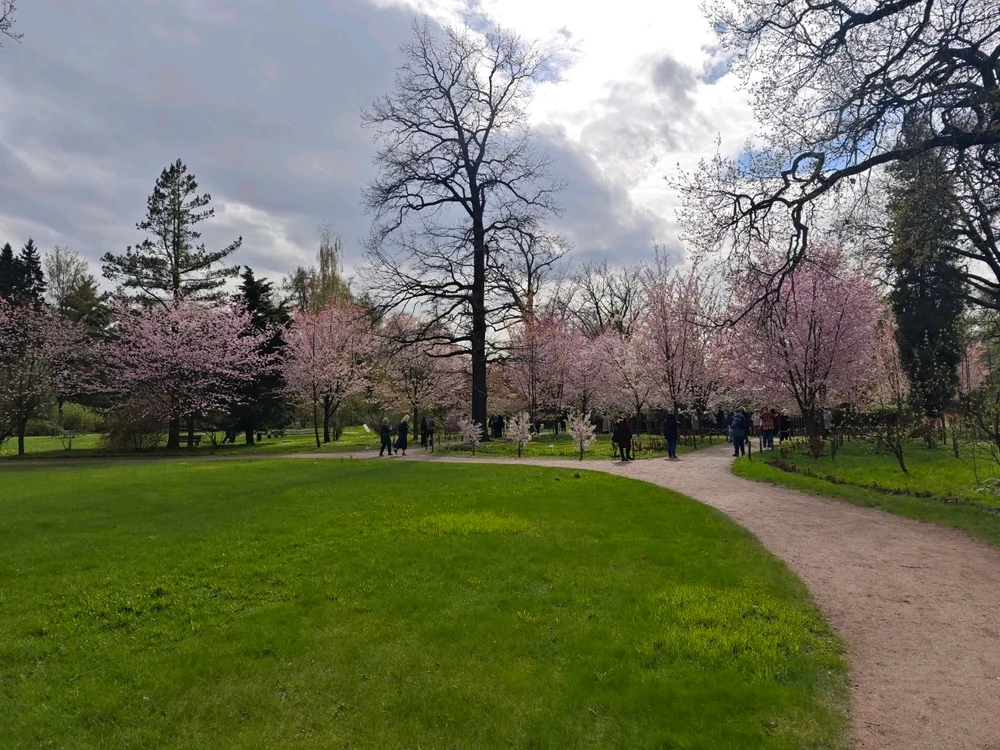 Фото загрузил Alexey