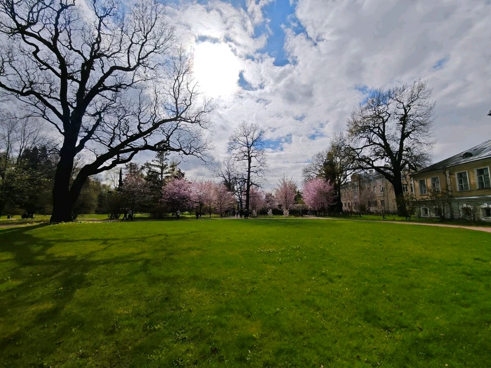 Фото загрузил Alexey