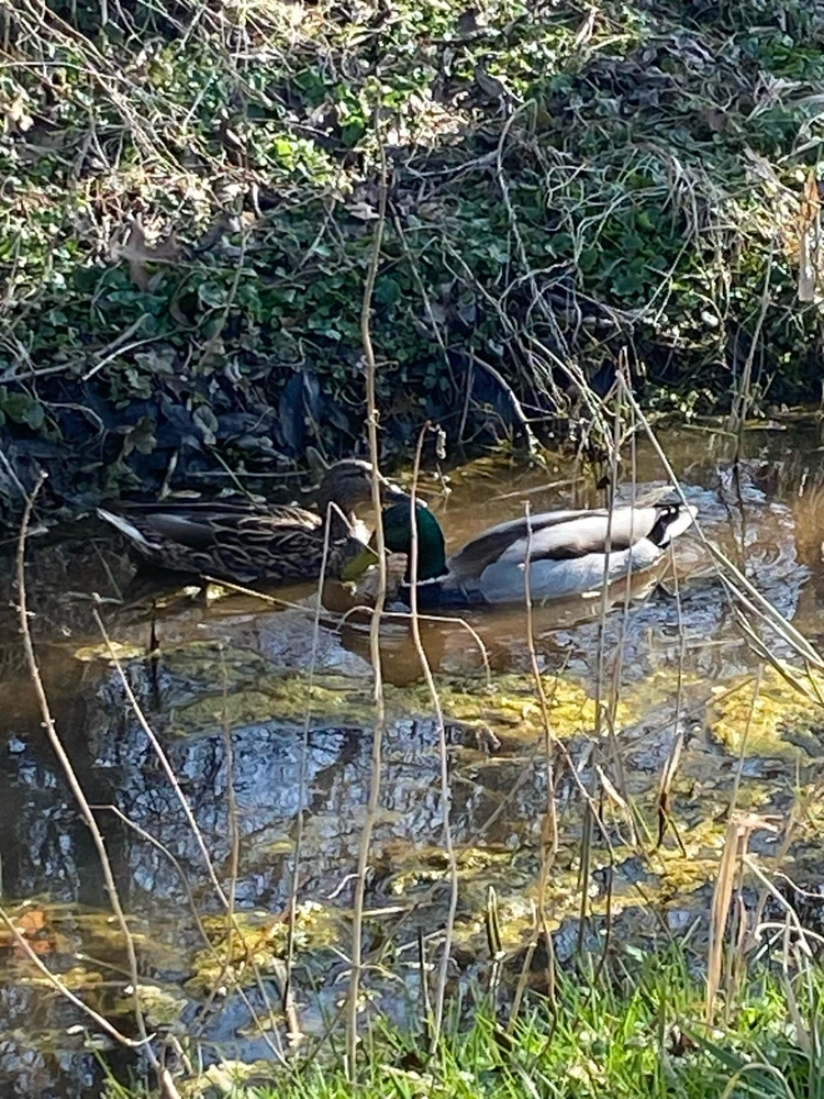 GIF hochgeladen von Manuel