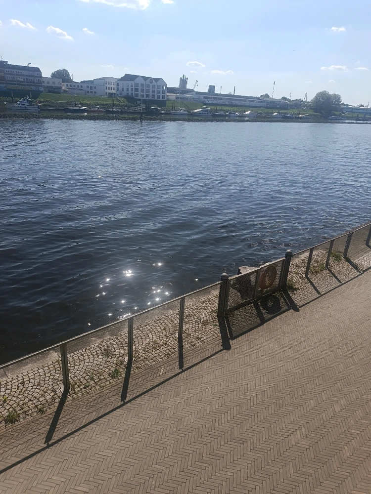 Image uploaded by Vytautas Cera