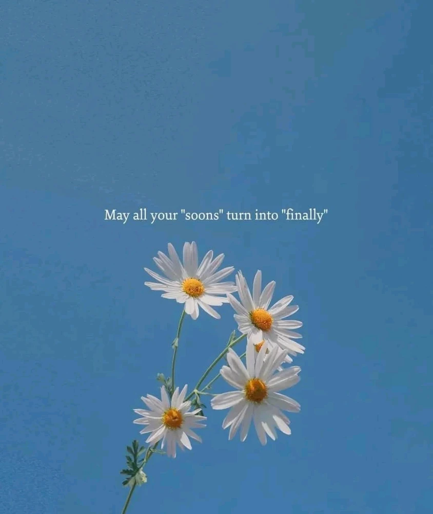 GIF uploaded by Jessa