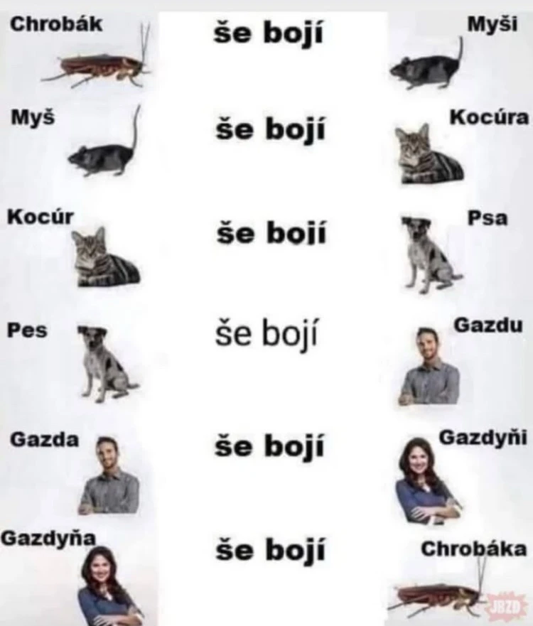 GIF nahrál tosassamoj