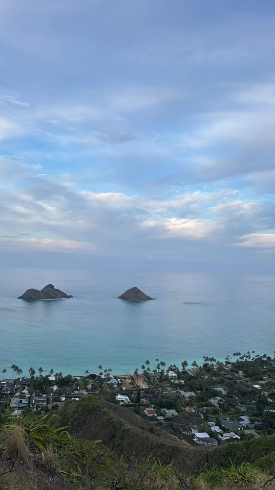 GIF uploaded by Roman