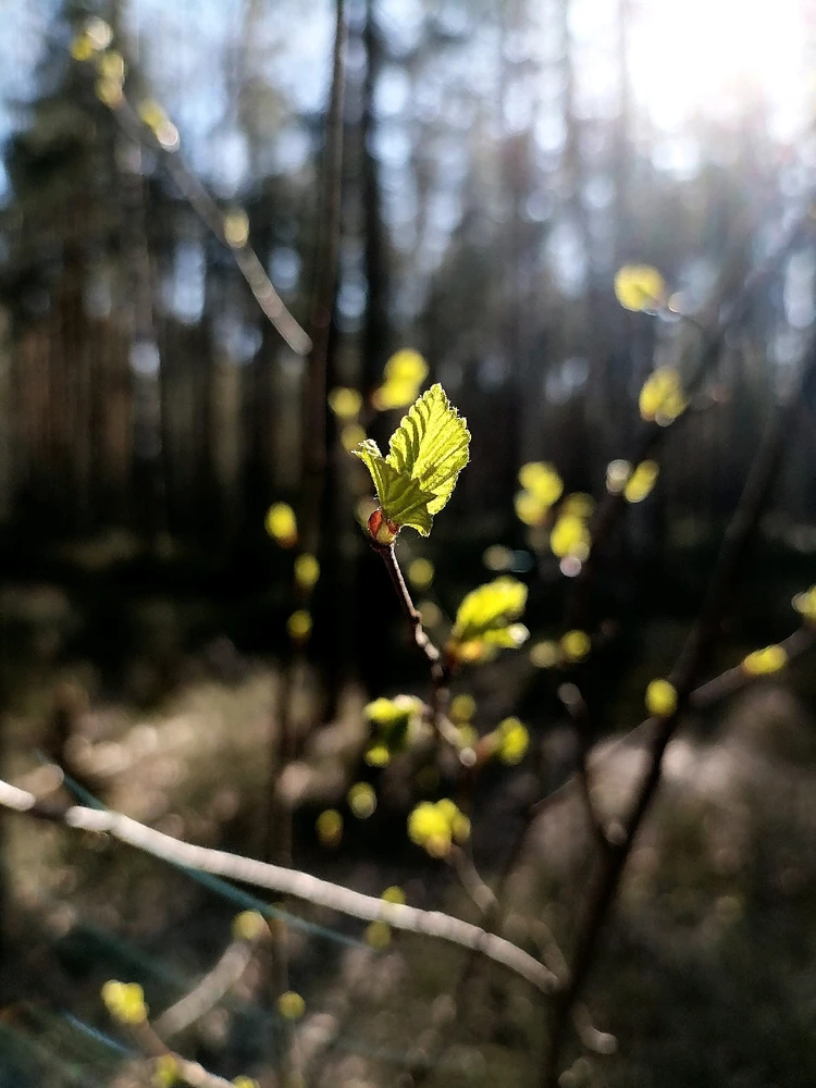Фото загрузил Елизавета