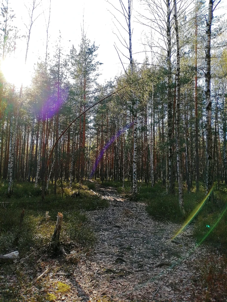 Фото загрузил Елизавета