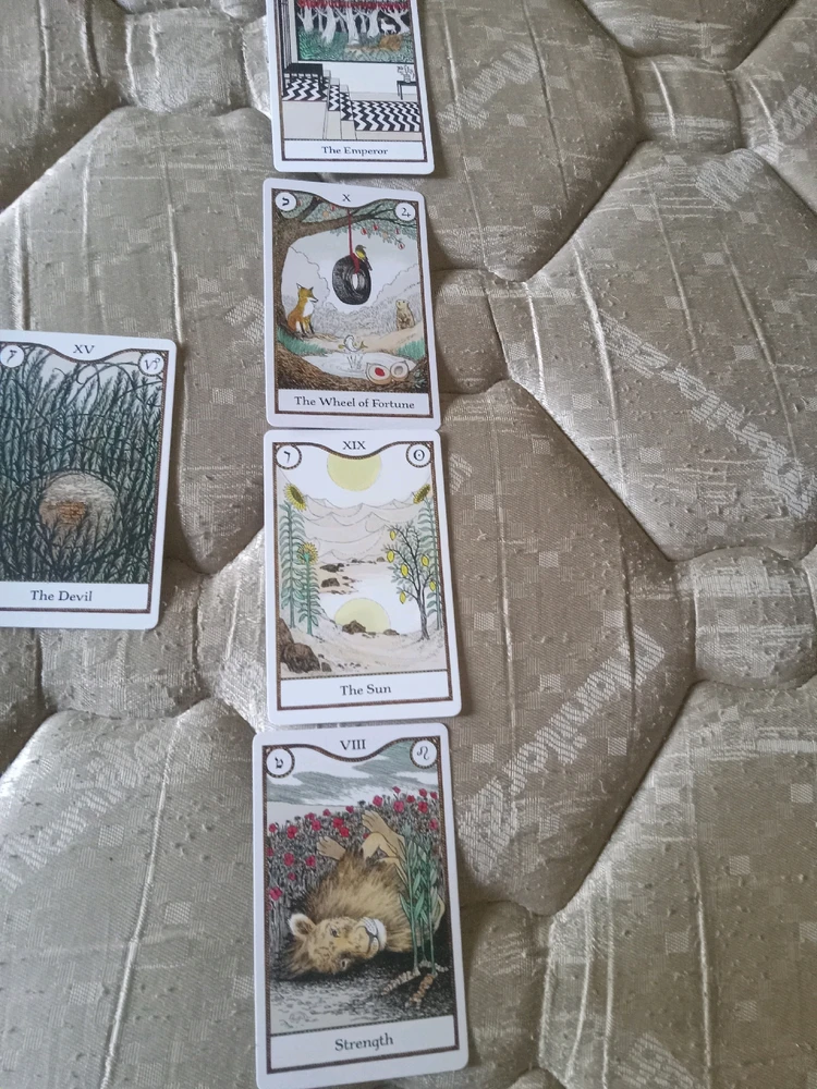 Image uploaded by Mr. Bone.