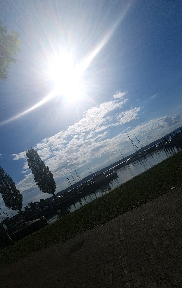 GIF hochgeladen von Viktor