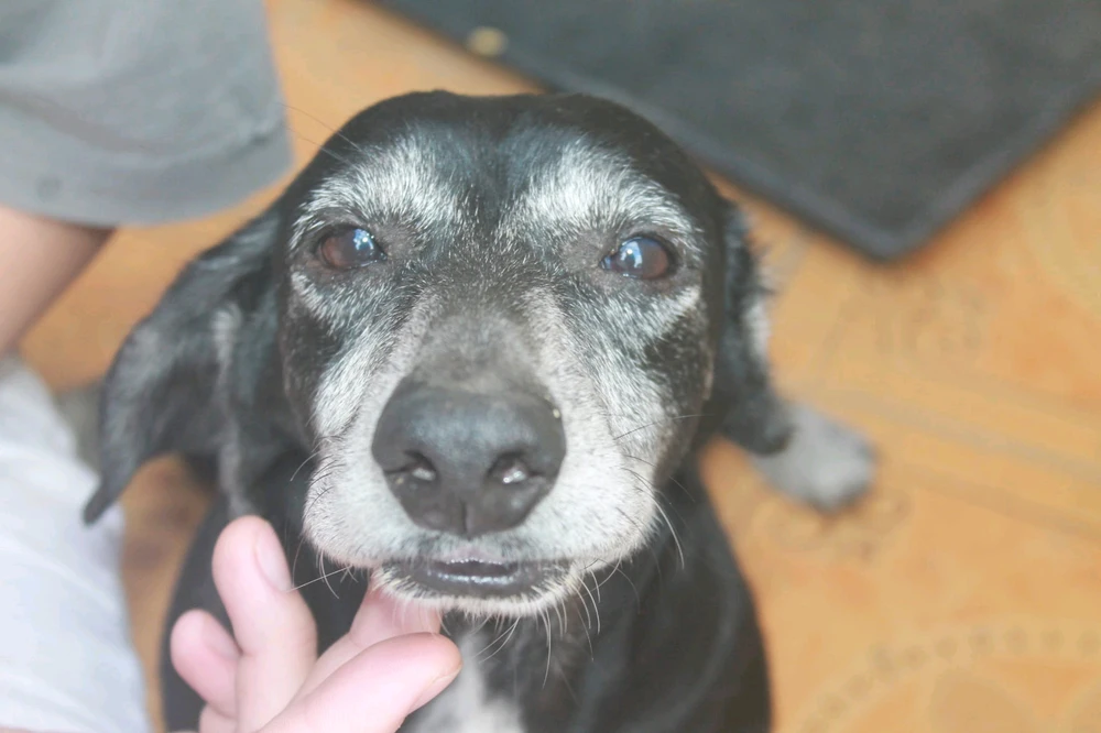 Image uploaded by V.Bob