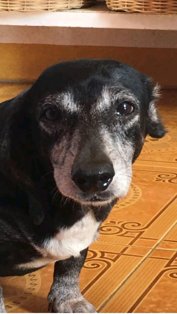 Image uploaded by V.Bob