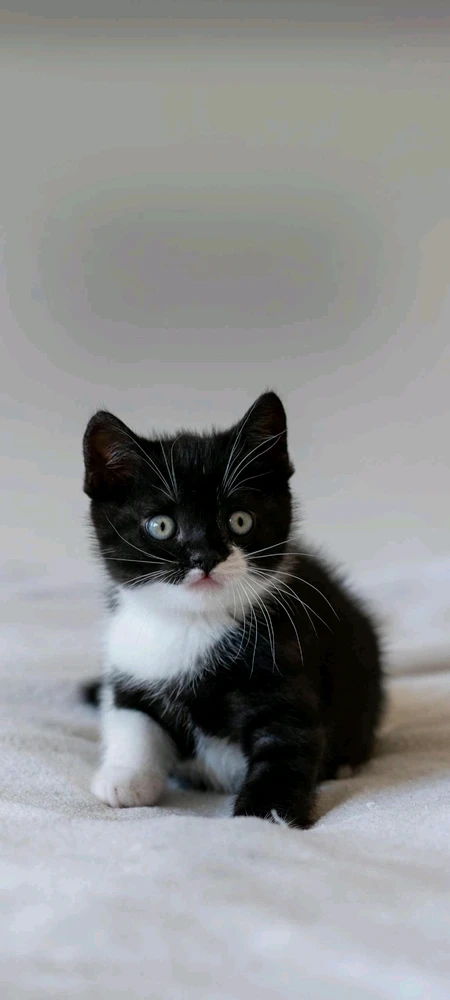 تصویر آپلود شده توسط Asian