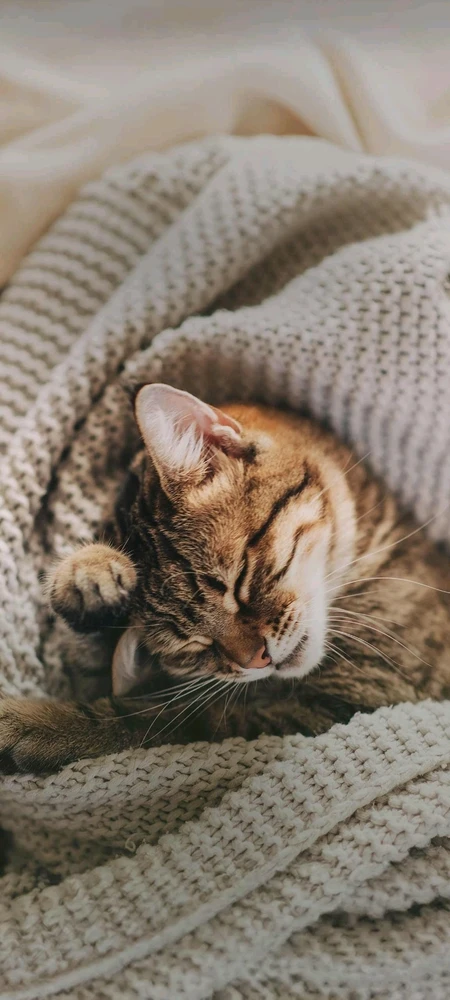 تصویر آپلود شده توسط Asian