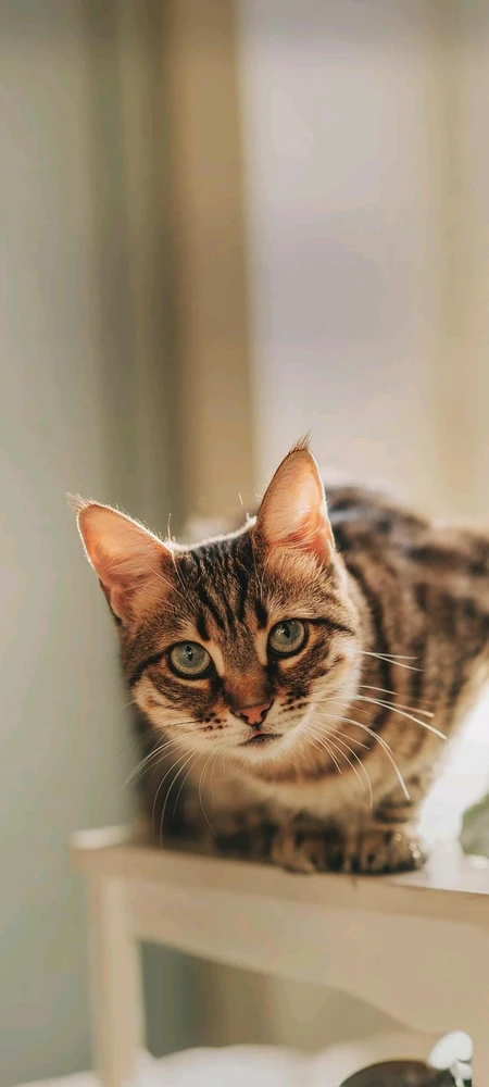 تصویر آپلود شده توسط Asian