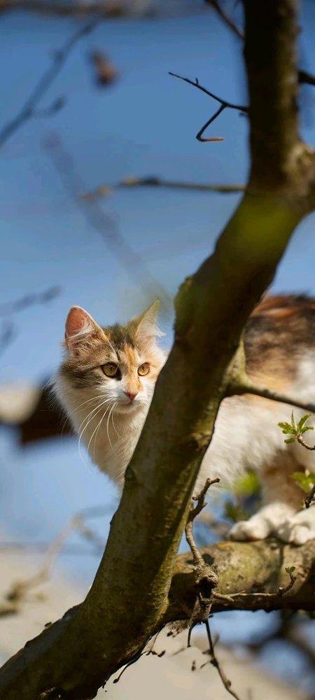 تصویر آپلود شده توسط Asian