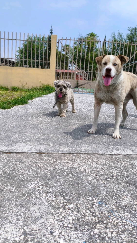 GIF subido por Diego Gilberto Yael Tinajero Cordova