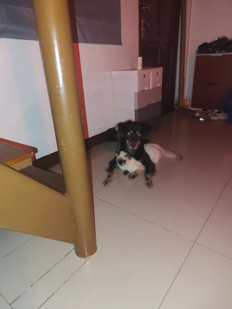 GIF uploaded by Japz