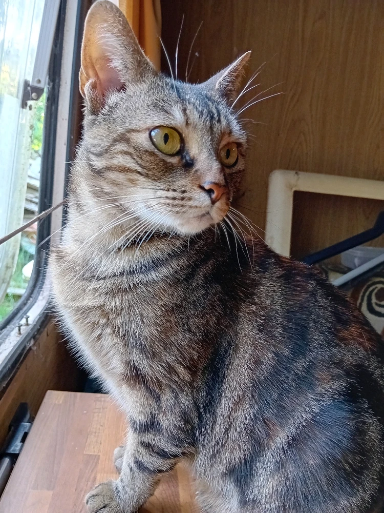 GIF ajouté par Marie