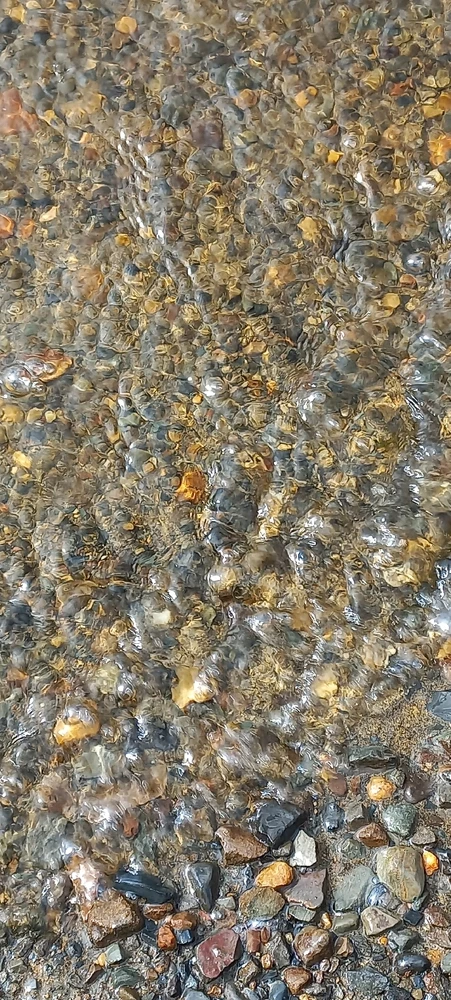 Image uploaded by Maria (Masha)