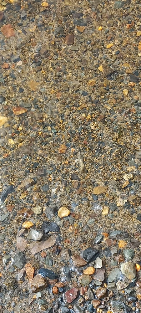 Image uploaded by Maria (Masha)