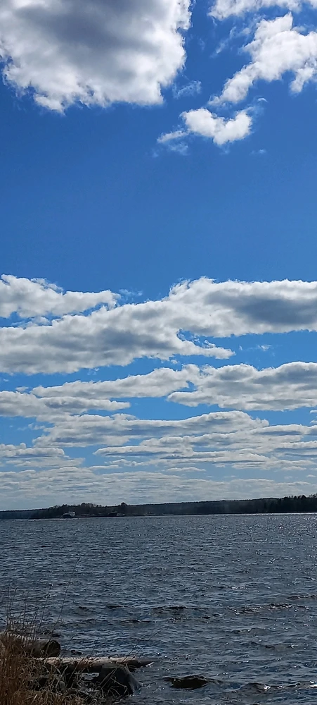 Image uploaded by Maria (Masha)