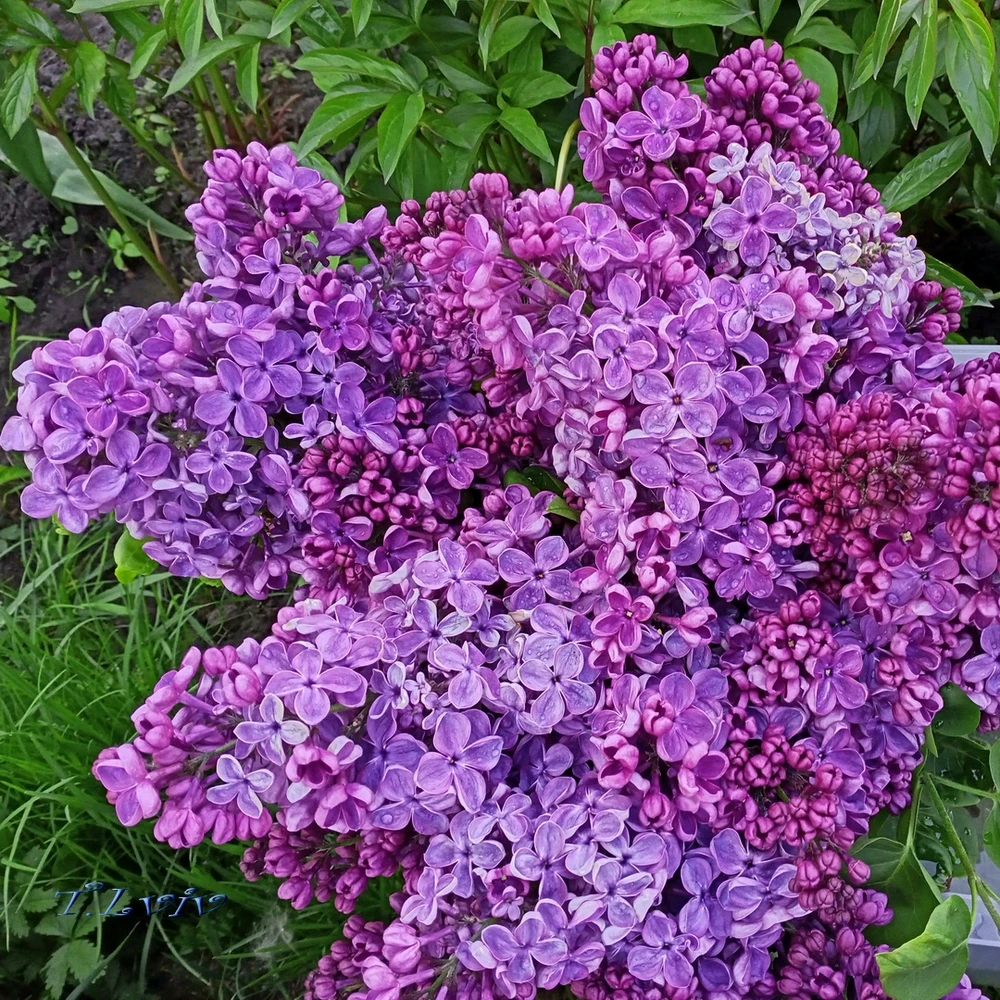 Зображення завантажив Black Mirror (⁠◔⁠‿⁠◔⁠)