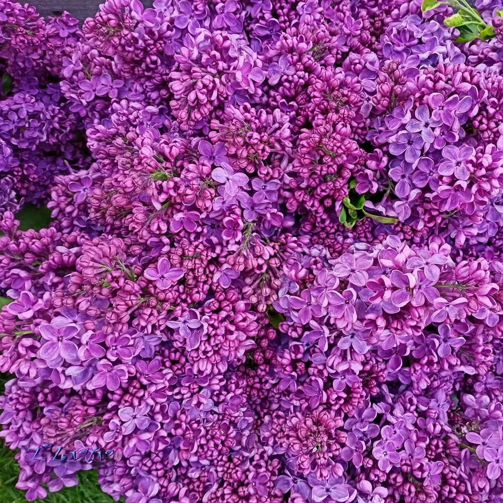 Зображення завантажив Black Mirror (⁠◔⁠‿⁠◔⁠)