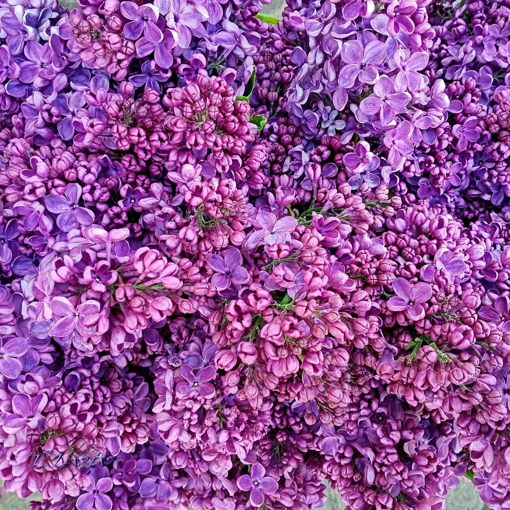 Зображення завантажив Black Mirror (⁠◔⁠‿⁠◔⁠)