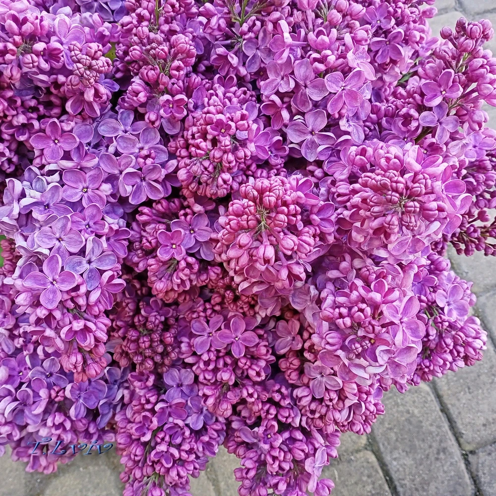 Зображення завантажив Black Mirror (⁠◔⁠‿⁠◔⁠)