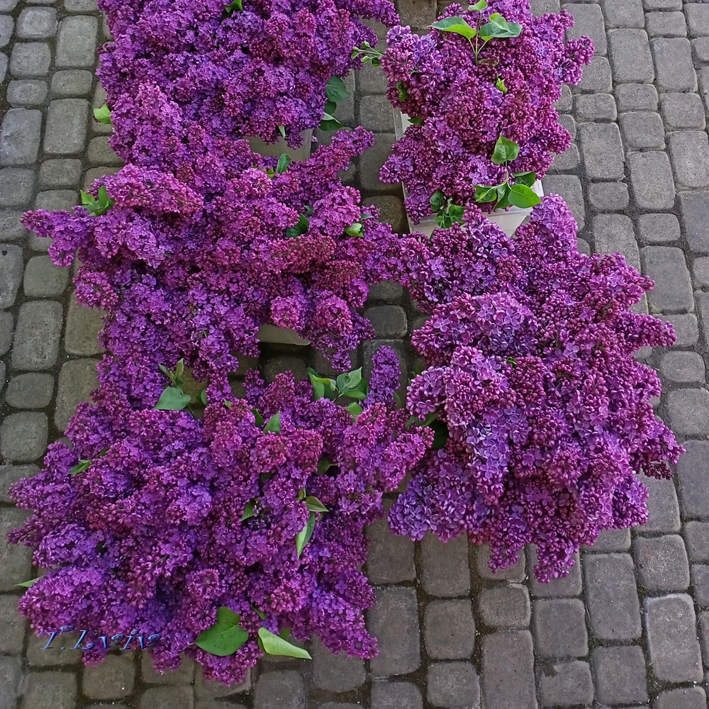 Зображення завантажив Black Mirror (⁠◔⁠‿⁠◔⁠)