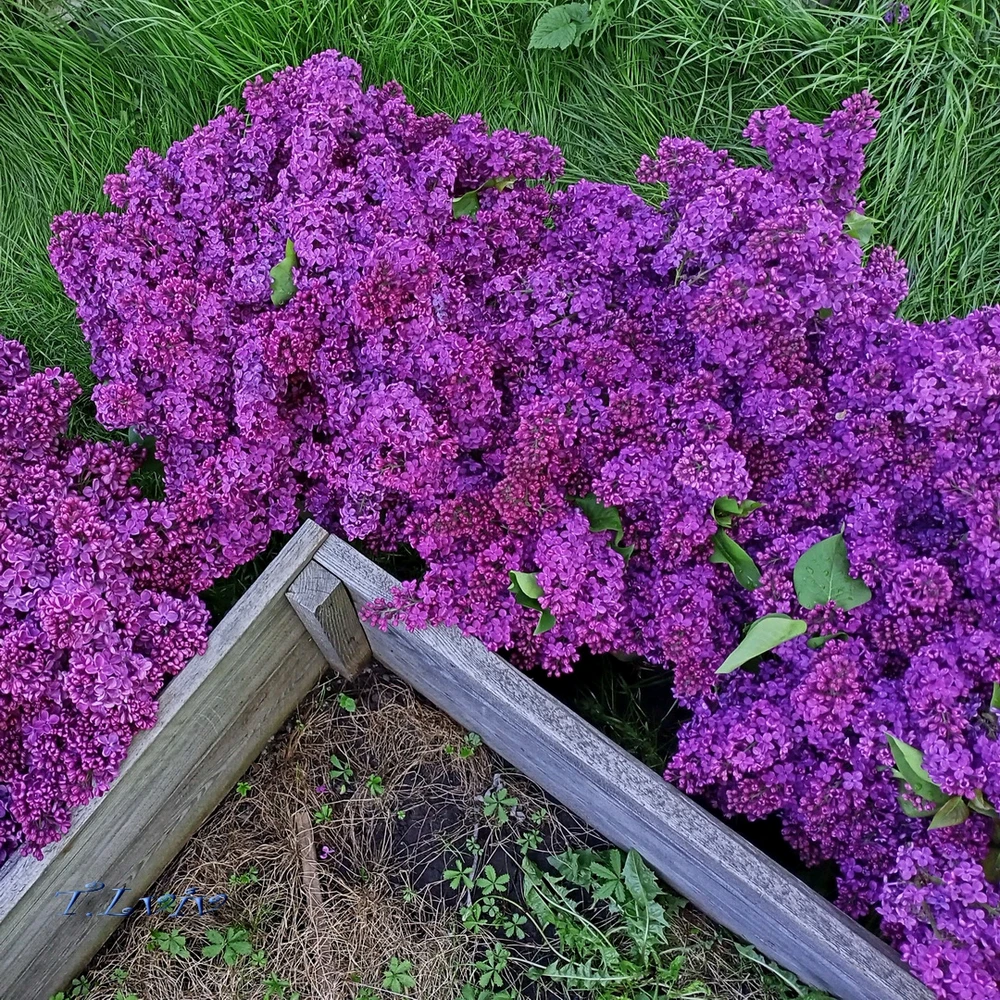 Зображення завантажив Black Mirror (⁠◔⁠‿⁠◔⁠)