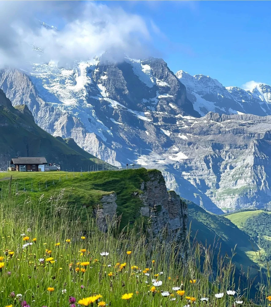 SaruがアップロードしたGIF