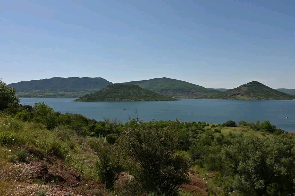 Image ajoutée par Rick