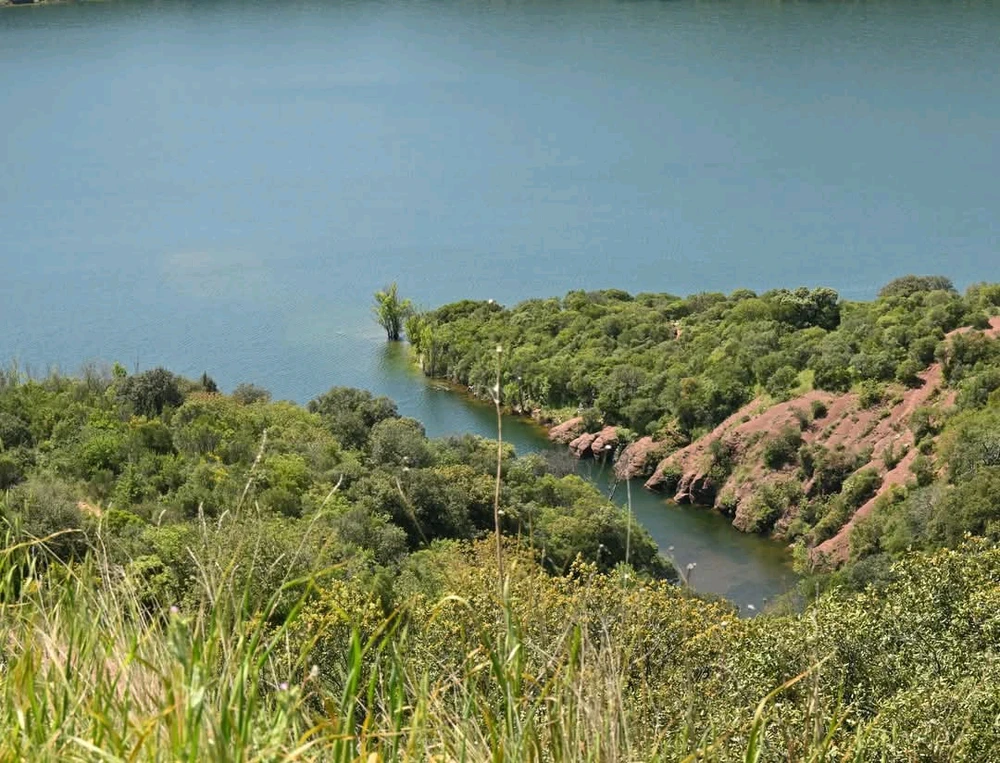 Image ajoutée par Rick