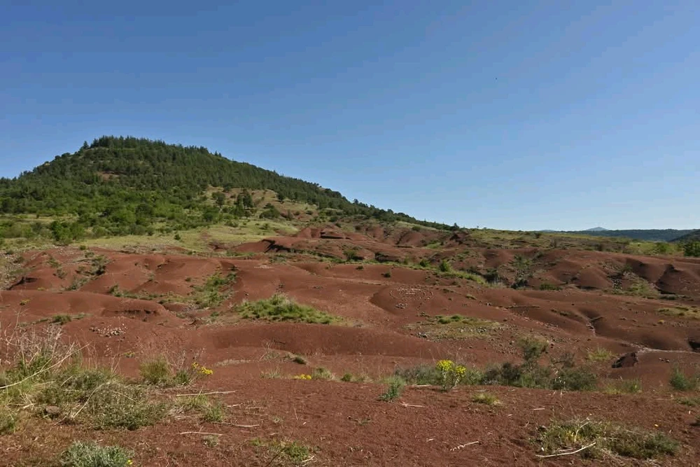 Image ajoutée par Rick